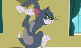 tom视频,轻松掌握短视频制作与传播技巧