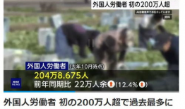 日本六九视频,一场视觉与文化的碰撞之旅